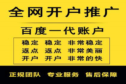 竞价托管服务对比：不同平台的优劣分析