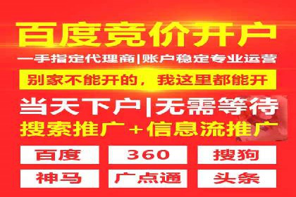 竞价排名中关键词出价策略的案例探讨